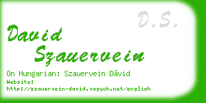 david szauervein business card